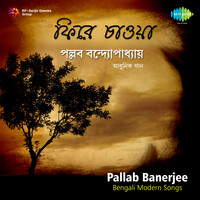 Pallab Banerjee - Modern