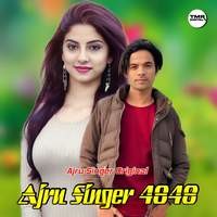 Ajru Singer 4848