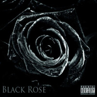 Black Rose