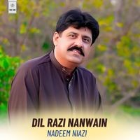 Dil Razi Nanwain