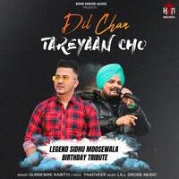 Dil Chan Tareyaan Cho