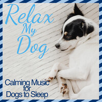Relax My Dog : Calming Music for Dogs to Sleep