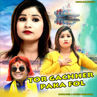 Tor Gachher Paka Fol