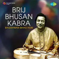 Brij Bhusan Kabra - Bageshwari Bihag Hori