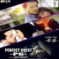 Perfect Guest - PG