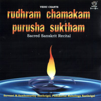 Rudram Chamakam Purusha Suktam