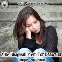 A Re Bhagwati Prem Tor Deewana