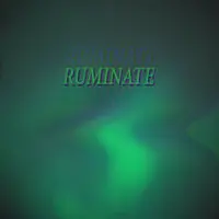 Ruminate