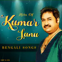 Hits Of Kumar Sanu