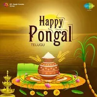 Happy Pongal - Telugu
