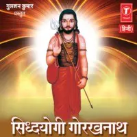 Radha Rasik Bihari Vol.1