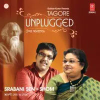 Tagore Unplugged