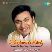 Dr Rajkumars Melody Instrumentals