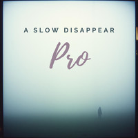 A Slow Disappear