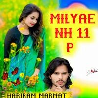 milyae NH 11 p