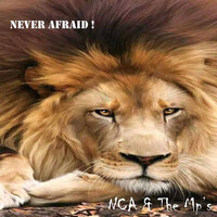 Never Afraid !