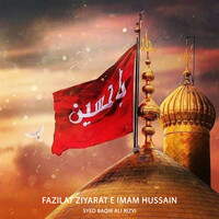 Fazilat Ziyarat E Imam Hussain