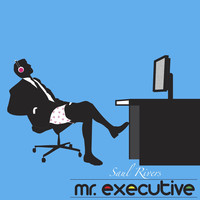 Mr. Executive