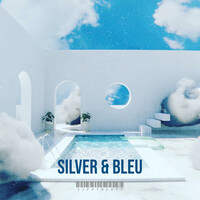 Silver & Bleu