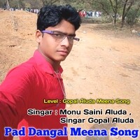 Pad Dangal Meena Song