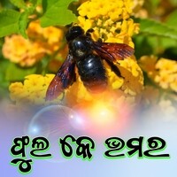 Phula Ke Bhamara