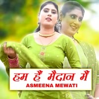 Asmeena best sale song mewati