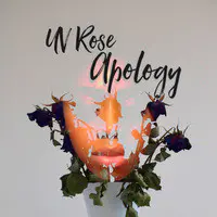 Apology