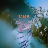 V H S