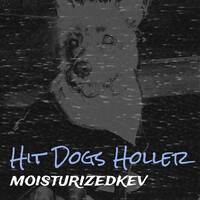 Hit Dogs Holler