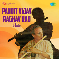 Pandit Vijay Raghav Rao Flute
