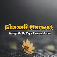 Hasay Me Be Zaya Zawravi Baran