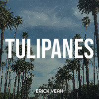 Tulipanes