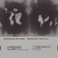 Tracks 2015-2021, Vol. 2