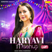 Haryanvi Mashup Lofi