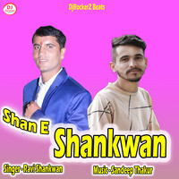 Shan E Shankwan