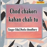 Chnd Chakori Kahan Chali Tu