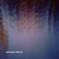 Soye Nahi - The Flip