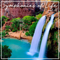 Symphonies of Life, Vol. 49 - Scarlatti: Piano Sonatas