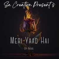 Meri Yaad Hai