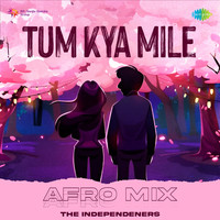 Tum Kya Mile - Afro Mix