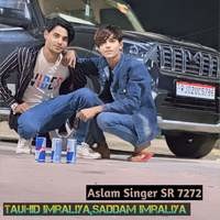 Aslam Singer SR 7272