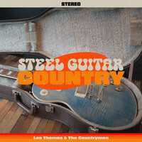 Steel Guitar Country - 24 Golden Hits