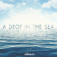 A Drop in the Sea