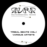 Tribal Beats, Vol​.​1