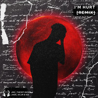 I'm Hurt (Remix)