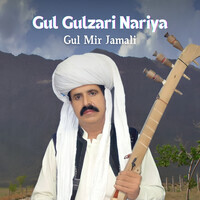 Gul Gulzari Nariya