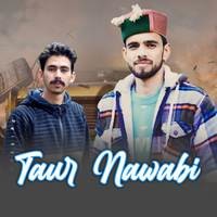 Taur Nawabi