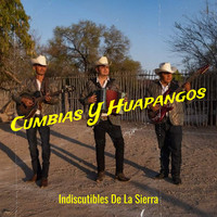 Cumbias Y Huapangos