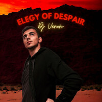 Elegy of Despair