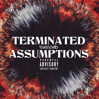 Terminated Assumptions